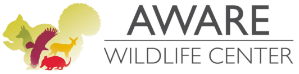 AWARE Wildlife Center