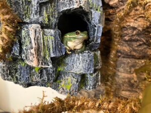 Our newest ambassador Hopscotch settles into his new home.