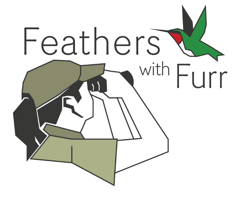 Logo for Feathers with Furr