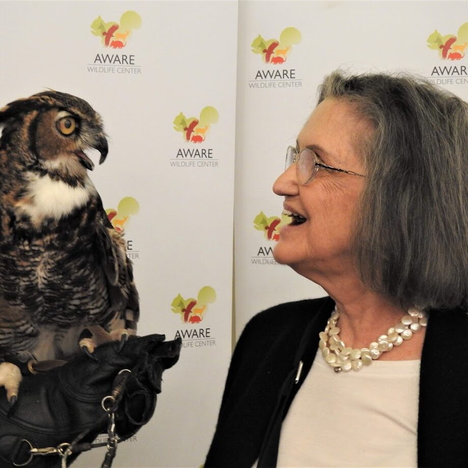 owl wno 2